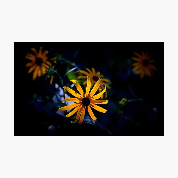 Item preview, Backlit designed and sold by NEmens.