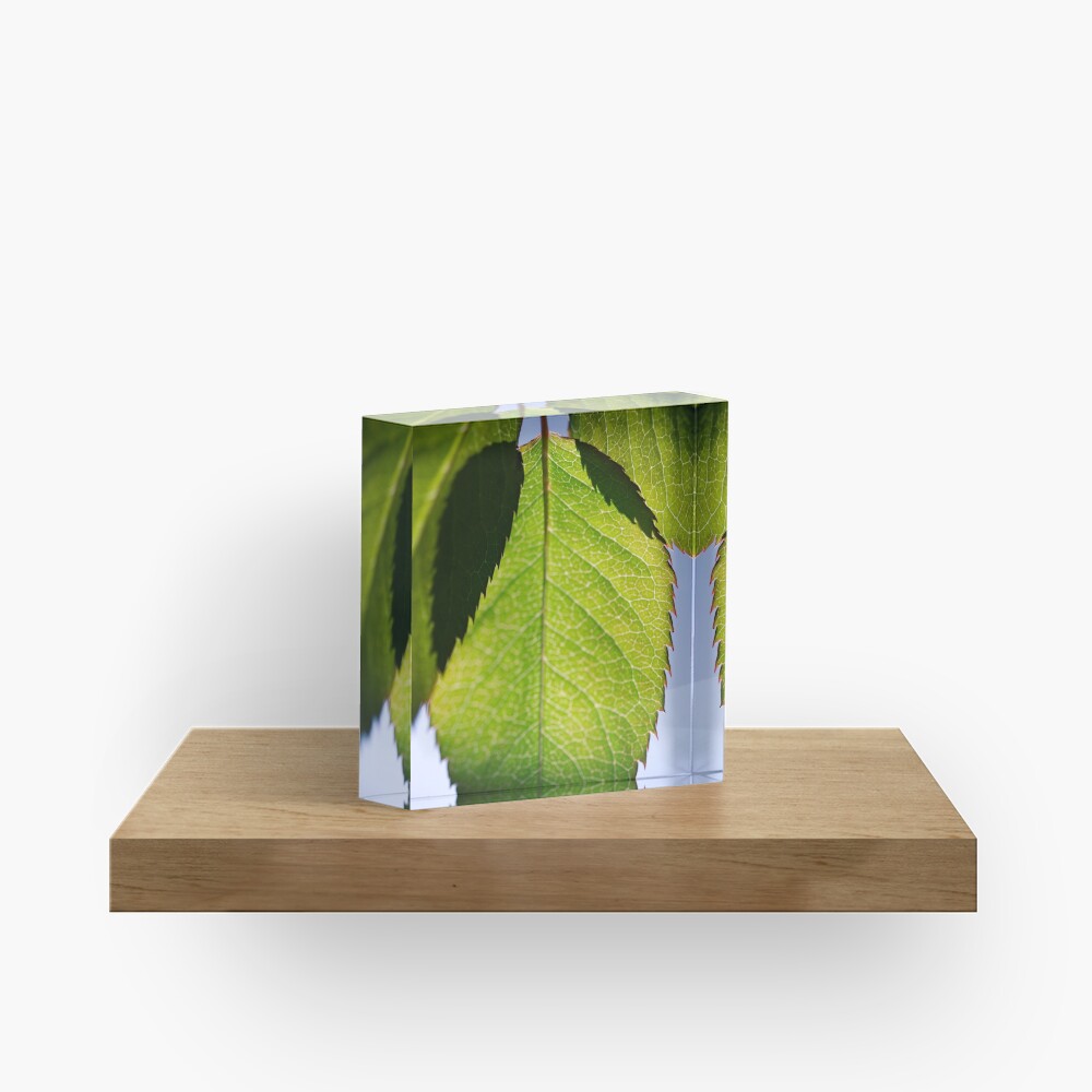 Item preview, Acrylic Block designed and sold by petegrev.