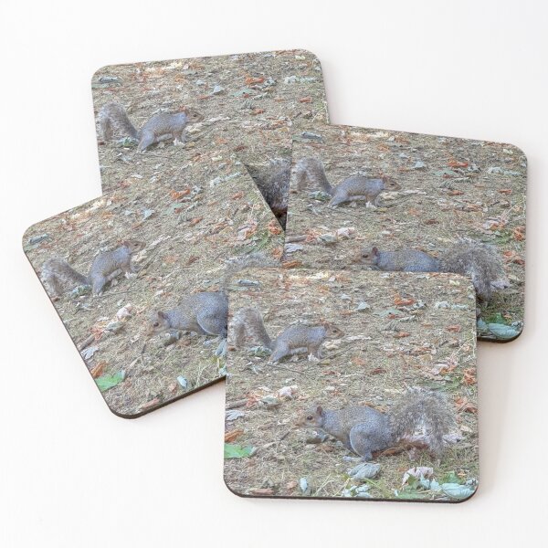 Item preview, Squirrels of Wimbledon 7 - these two guys designed and sold by ellenhenry.