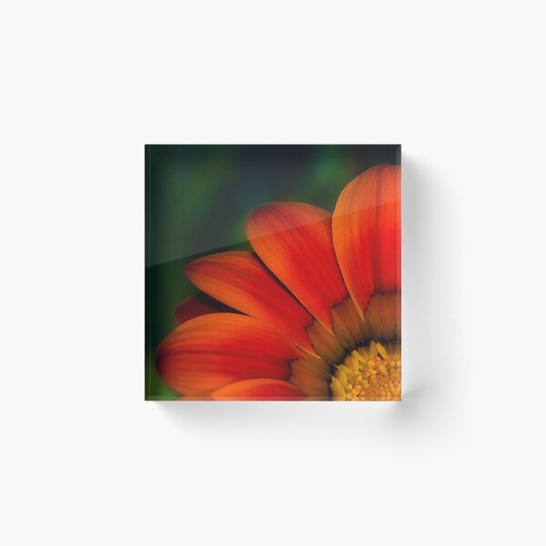Red Petals Acrylic Block
