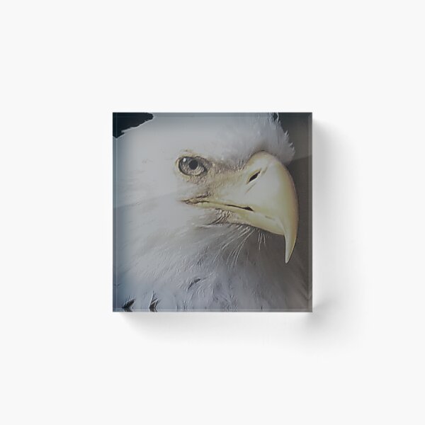 Item preview, Eagle Eye designed and sold by ADM  Photography.