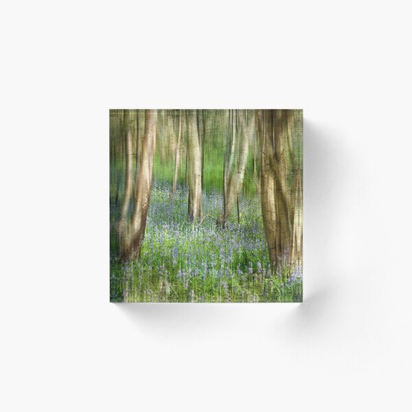 Bluebell Wood Acrylic Block