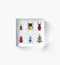 Cute Bugs Acrylic Block