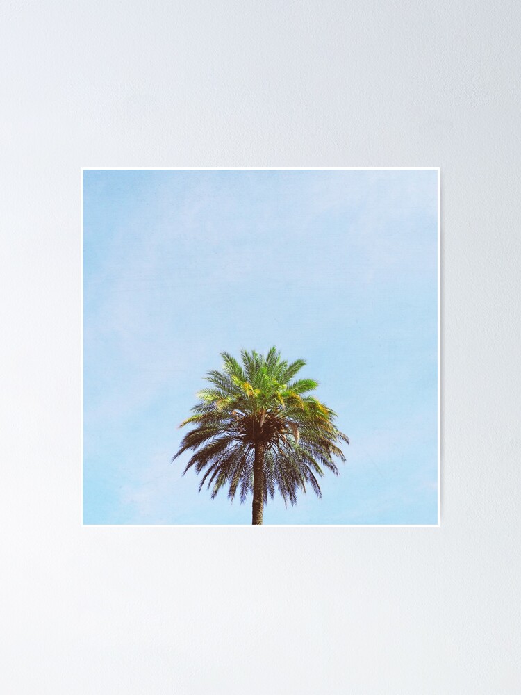 Thumbnail 1 of 3, Poster, Palm Tree designed and sold by Cassia.
