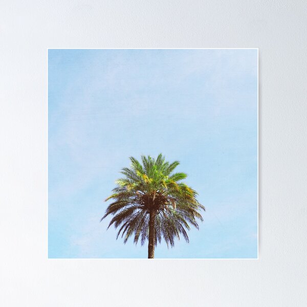Item preview, Palm Tree designed and sold by Cassia Beck.