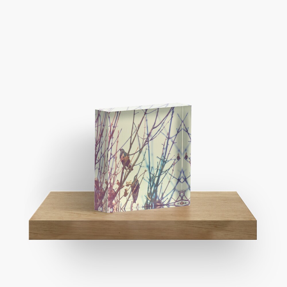 Item preview, Acrylic Block designed and sold by petegrev.