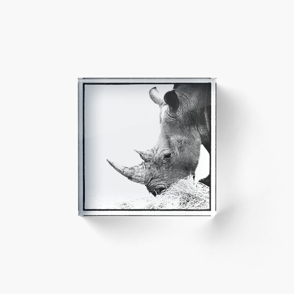 Rhino Acrylic Block