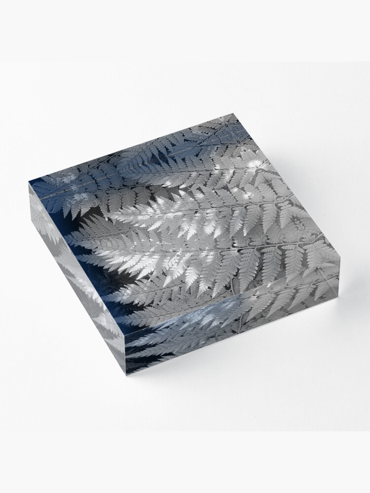 Alternate view of Ferns in dappled light Acrylic Block