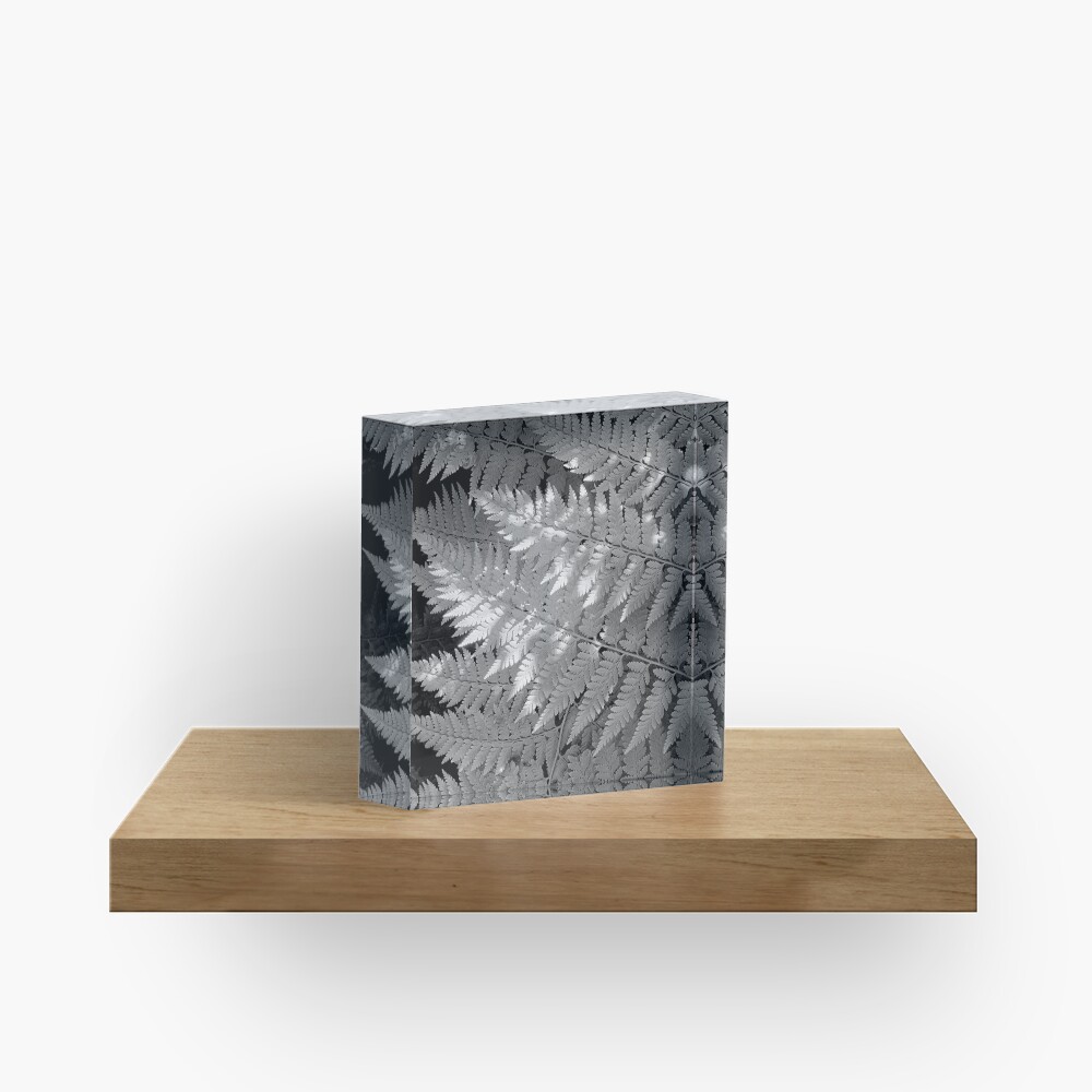 Ferns in dappled light Acrylic Block