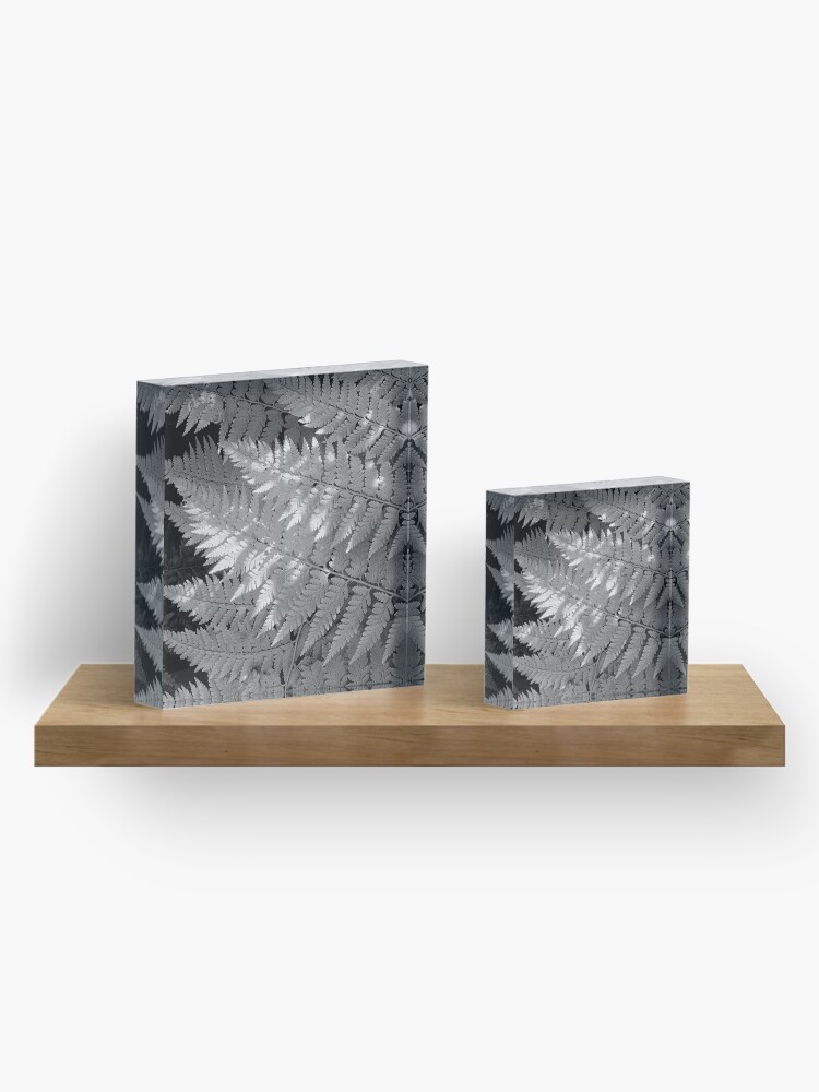 Alternate view of Ferns in dappled light Acrylic Block