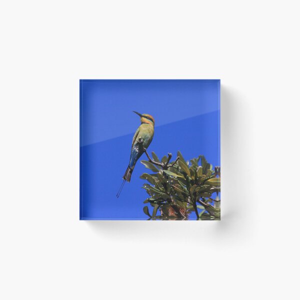 Item preview, Rainbow Bee Eater designed and sold by Ann  Van Breemen.