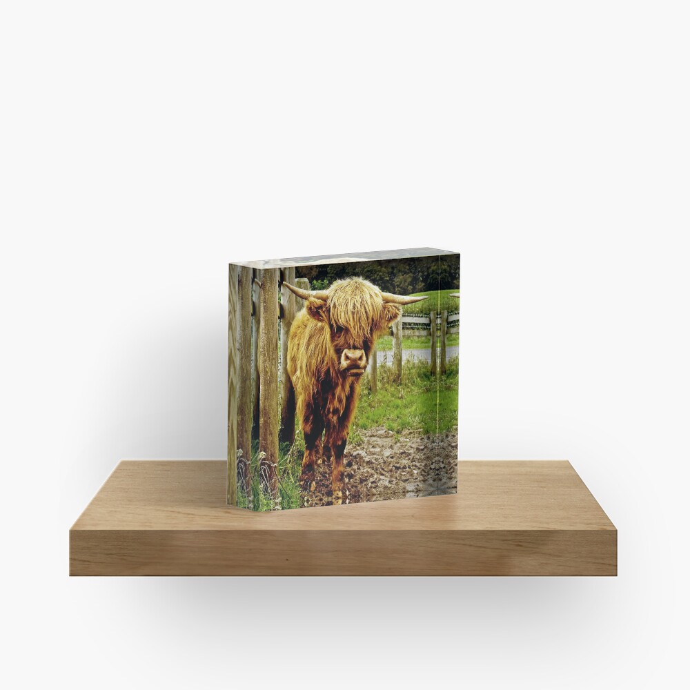 Item preview, Acrylic Block designed and sold by Coigach.