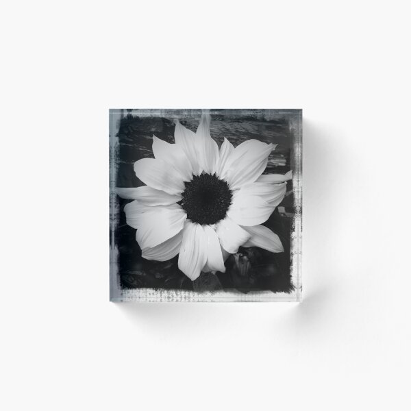Item preview, Plain and simple sunflower designed and sold by Tibbs.
