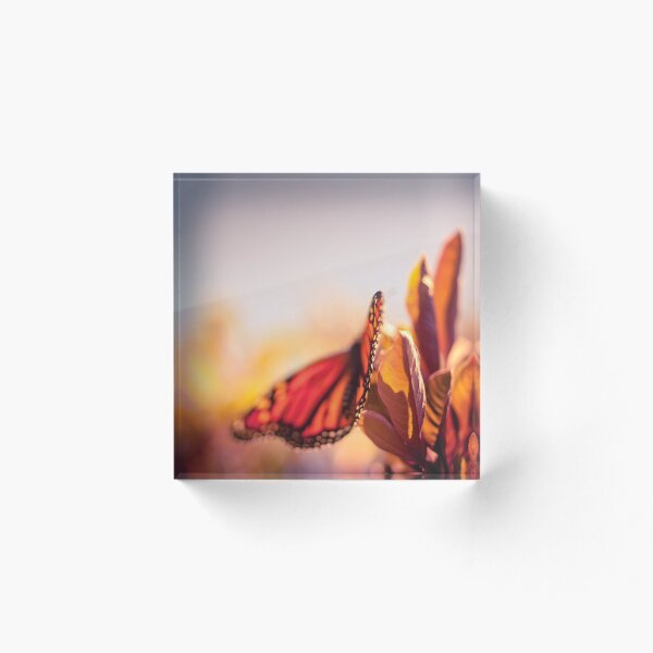 Item preview, Nature - Monarch Butterfly designed and sold by Cubagallery.