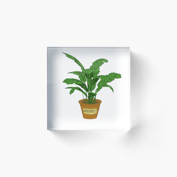 Robert PLANT Acrylic Block