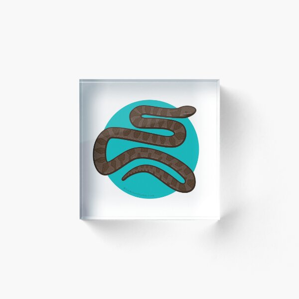 Artikelvorschau, Gemeinsame Wasserschlange entworfen und verkauft von BlueAsterStudio.