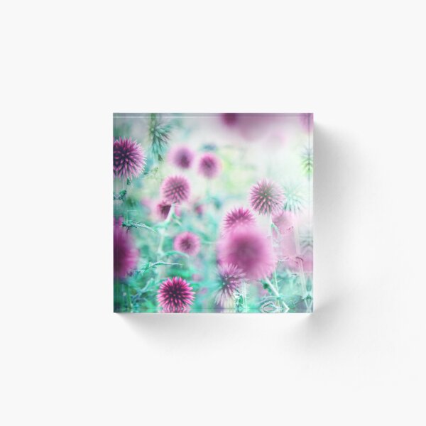 Dream Flowers Pink Acrylic Block