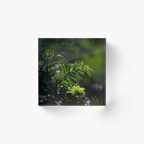 Green Acrylic Block