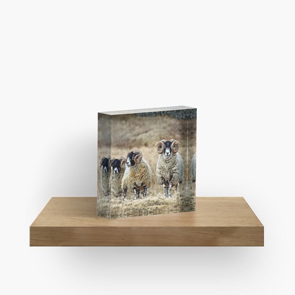 Item preview, Acrylic Block designed and sold by Coigach.