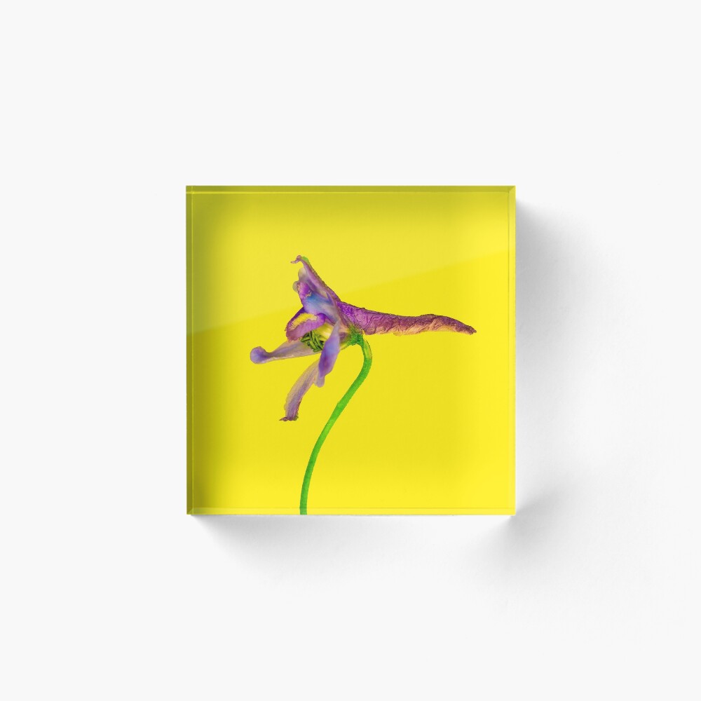 Item preview, Acrylic Block designed and sold by MLavelle.