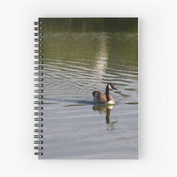 Item preview, Canada Goose,Par duck pond,Cornwall designed and sold by Lucy Davey.