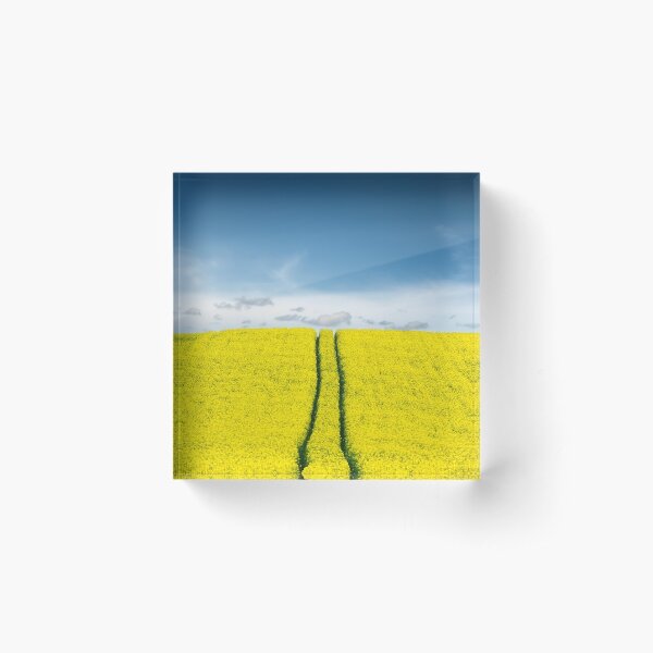 Daydreams Acrylic Block