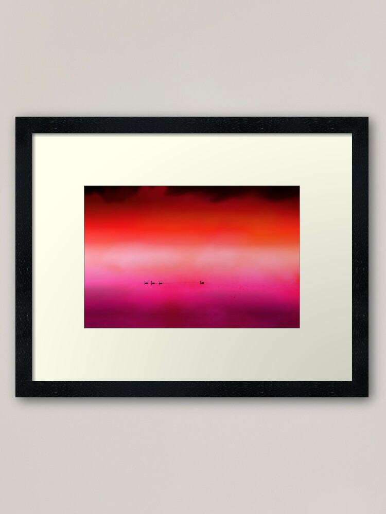 Alternate view of Swan Dreaming #3 Framed Art Print