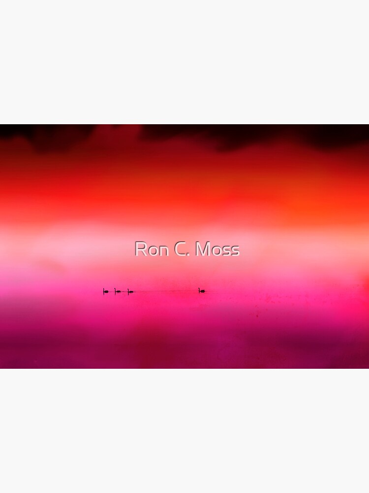 Swan Dreaming #3 by ronmoss