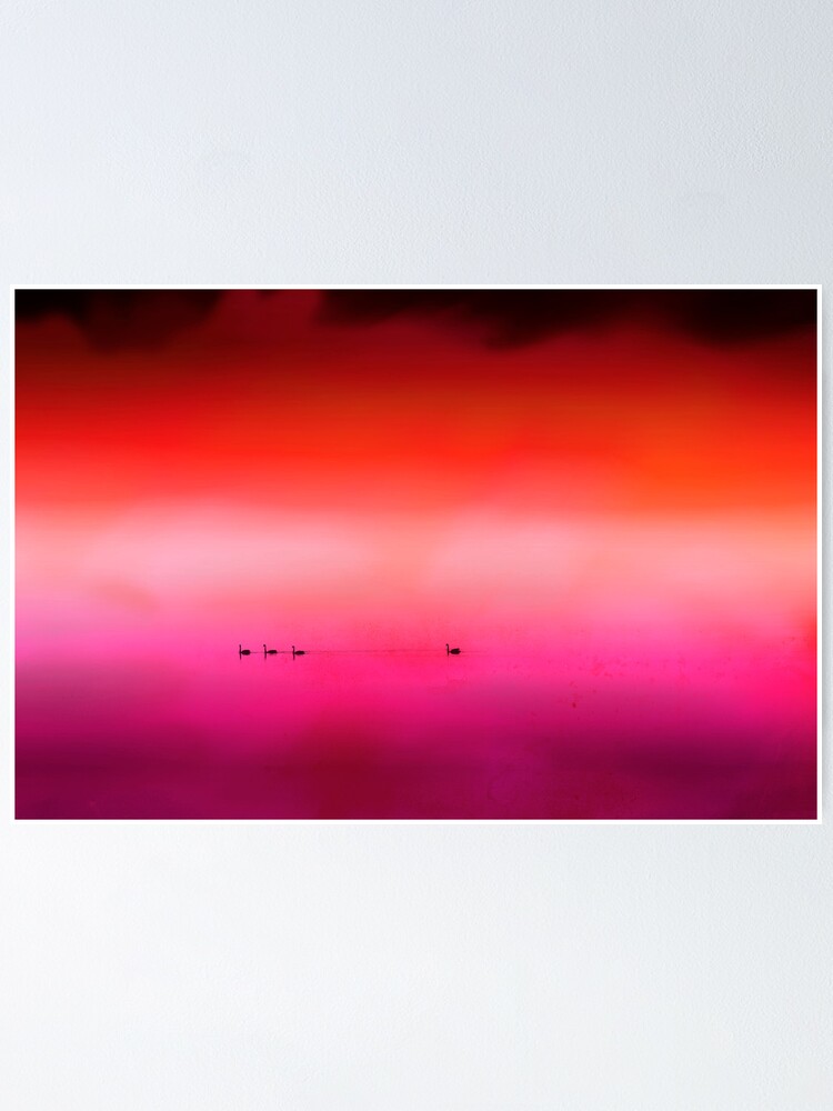 Alternate view of Swan Dreaming #3 Poster