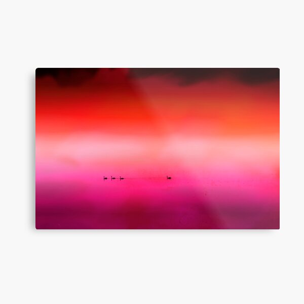 Swan Dreaming #3 Metal Print