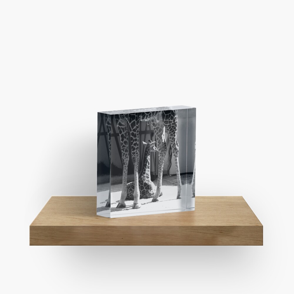 Item preview, Acrylic Block designed and sold by steppeland.