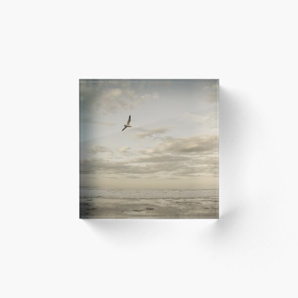 Item preview, when dreams forget designed and sold by Elinor  Scott-Sutter.