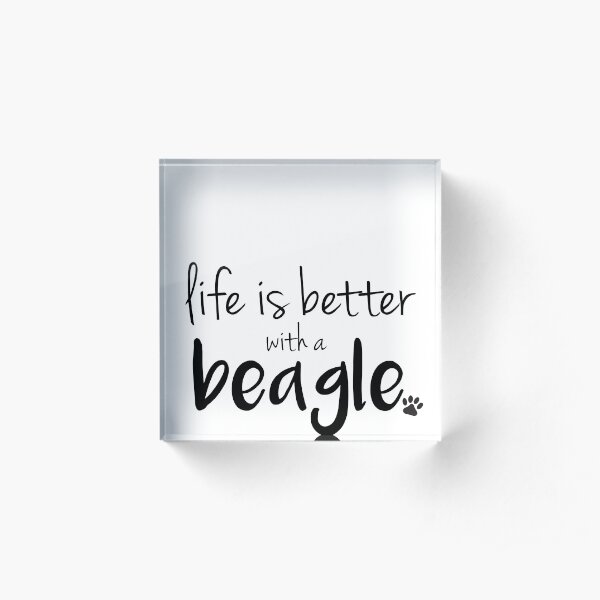la vida es mejor con un beagle Bloque acrílico