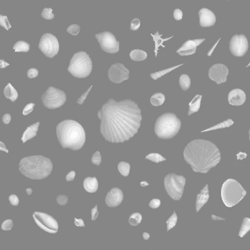 Artwork thumbnail, Shells by GreenNote