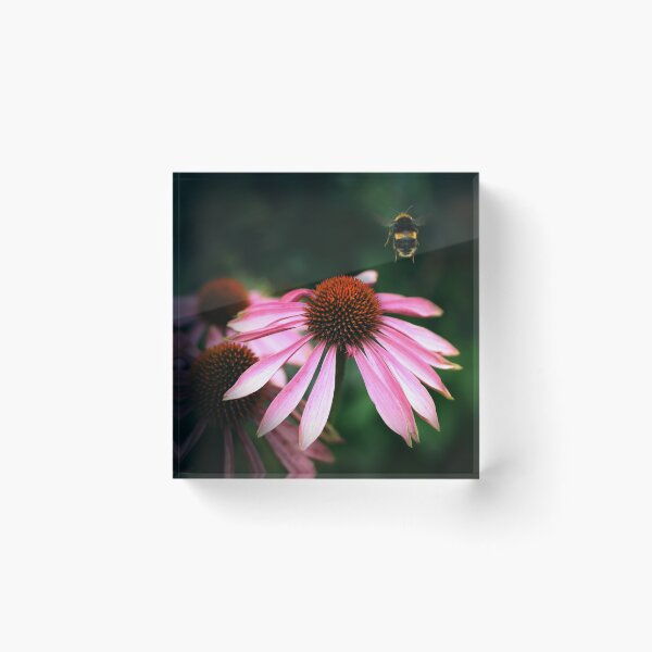 Item preview, Buzz designed and sold by Didi Bingham.