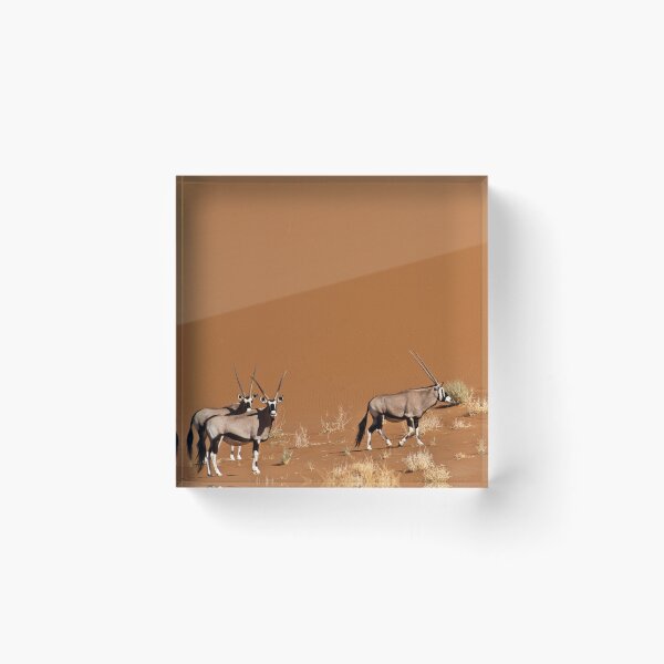 Item preview, Gemsbok | Dead Vlei designed and sold by Olwen Evans.