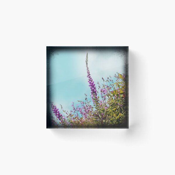 Item preview, Hedgerow fox gloves designed and sold by sue mochrie.