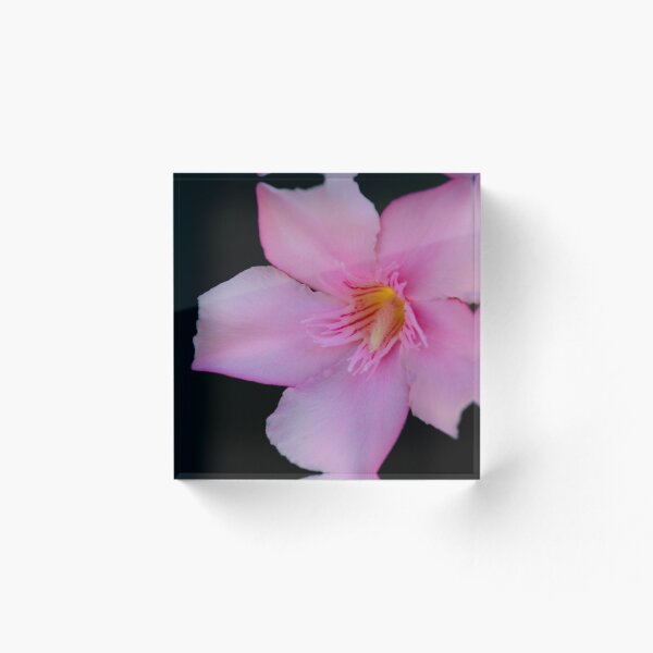 Item preview, Pink Oleander designed and sold by Andreas Koepke.
