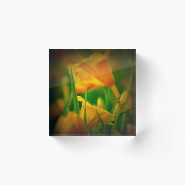 Diamond Acrylic Block