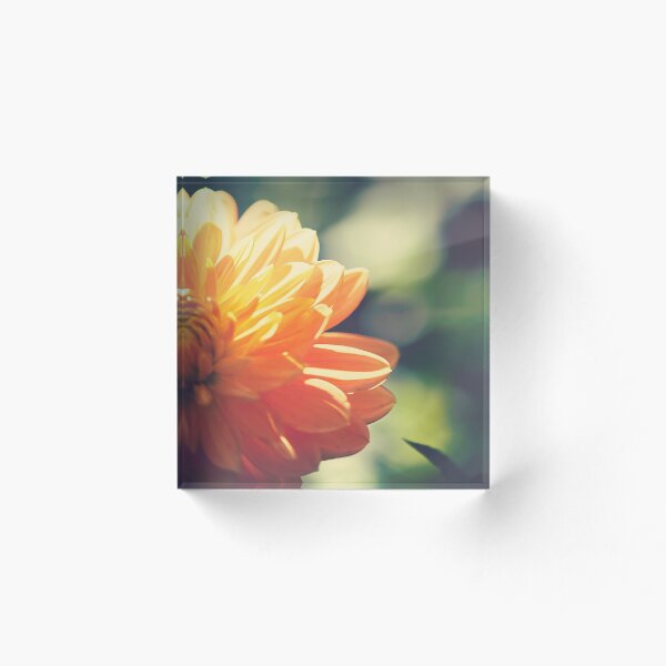Item preview, Dahlia designed and sold by Sue-ann Tilby Photography.
