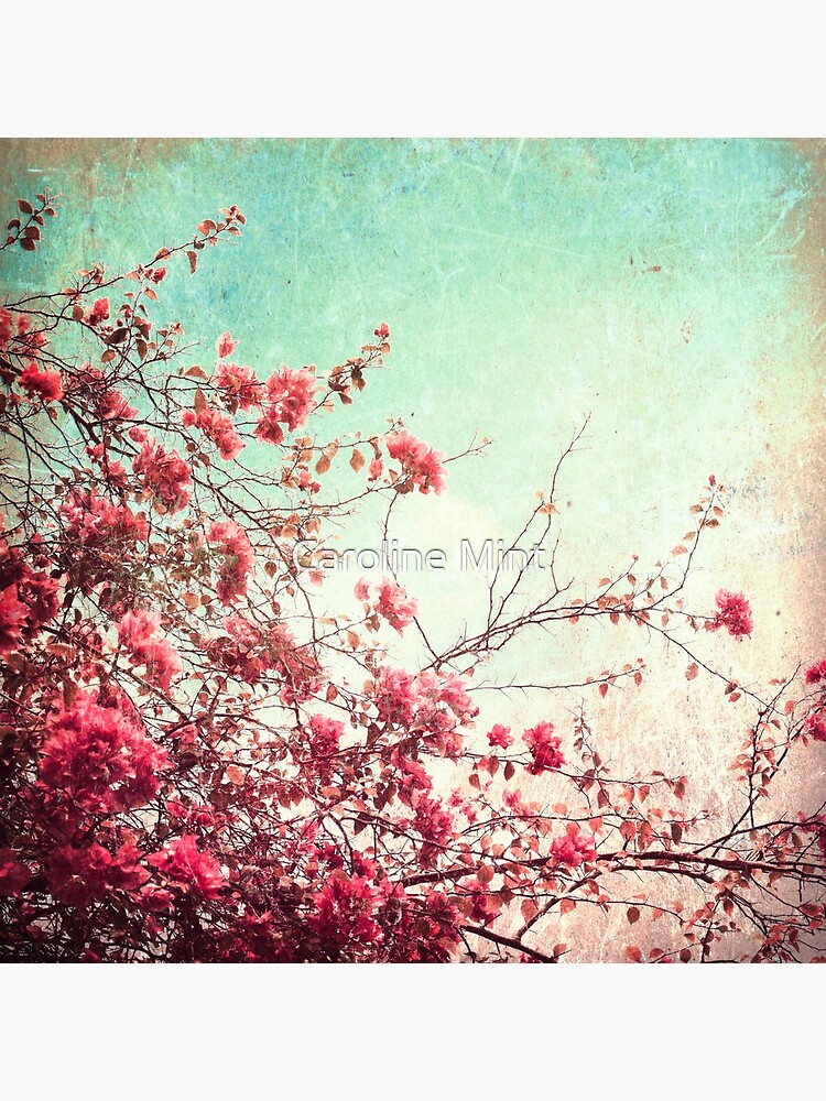 Pink Flowers on a Textured Blue Sky (Vintage Flower Photography) by Andreka