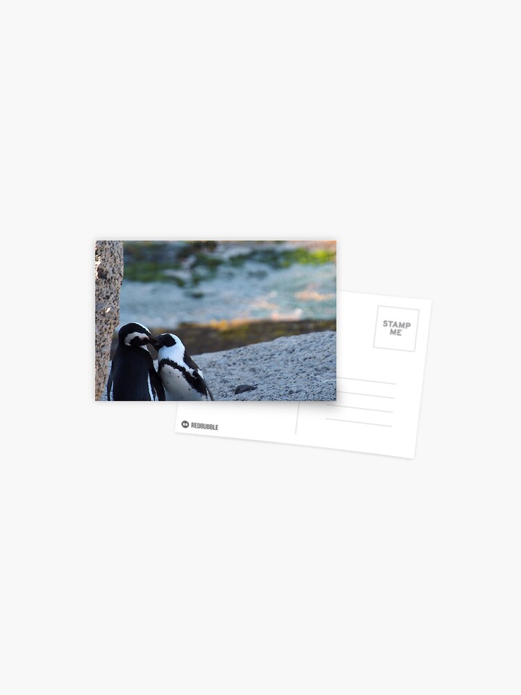 Postkarte for Sale mit Pinguine küssen von FabPosters4Less