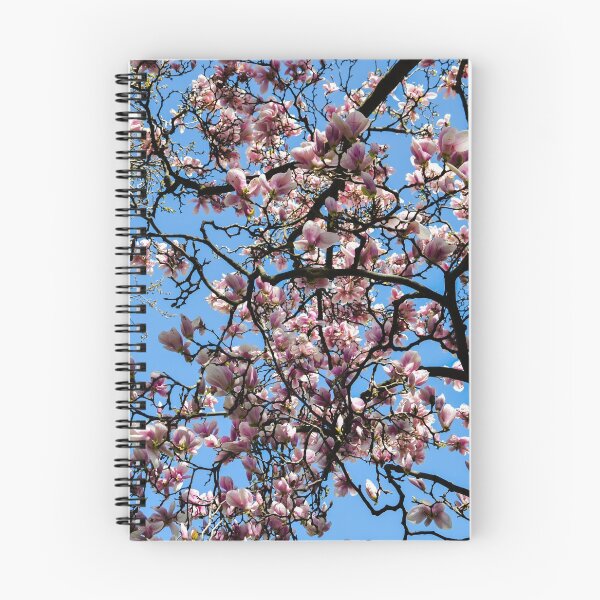 Item preview, Blossoms and Pring designed and sold by SRosuphotos.