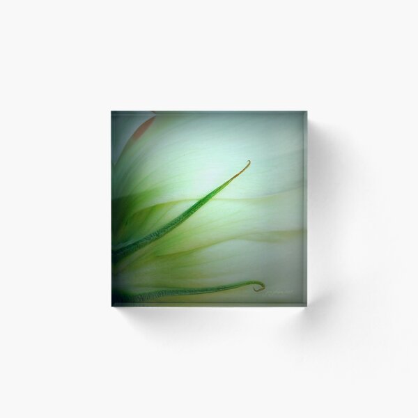 Item preview, O'keeffe  designed and sold by Jerri Johnson.