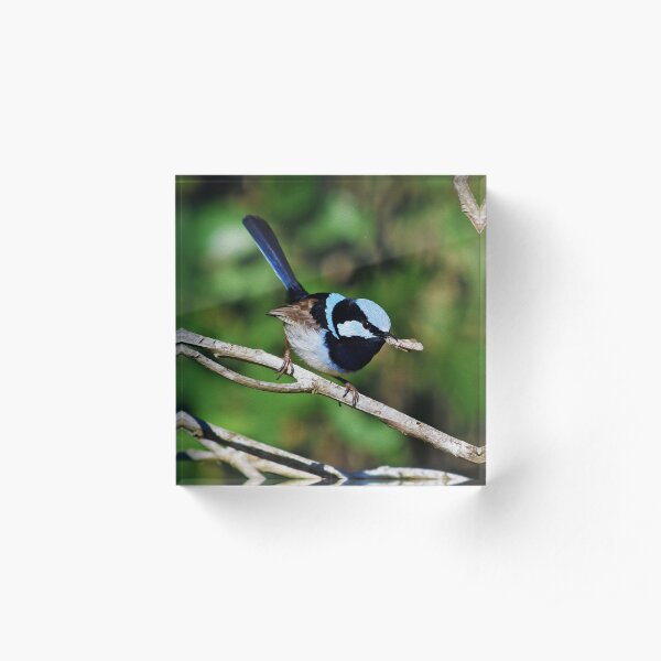 Tasty Meal Acrylic Block
