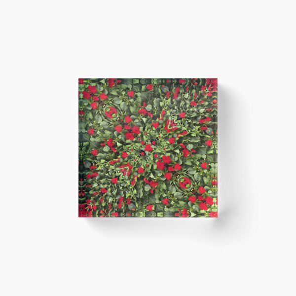 Item preview, Flowers and Plants Pattern designed and sold by DFLC Prints.