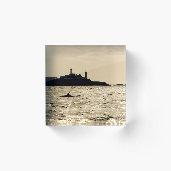 Dauphin in Saint-Mathieu Acrylic Block