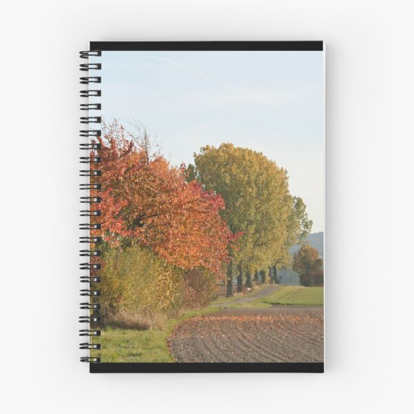 Item preview, Avenue of Poplars - and Others ;-) designed and sold by Calidris Fotografie Steffi & Ben Köppler.