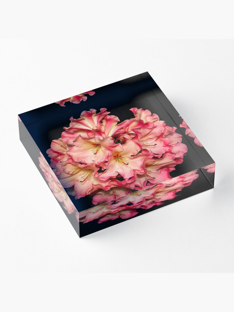 Alternate view of Lem's Cameo Acrylic Block