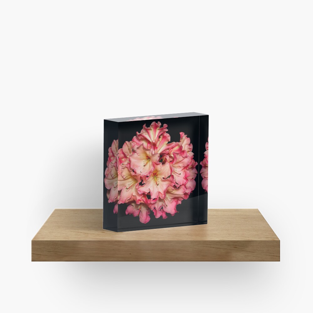Lem's Cameo Acrylic Block